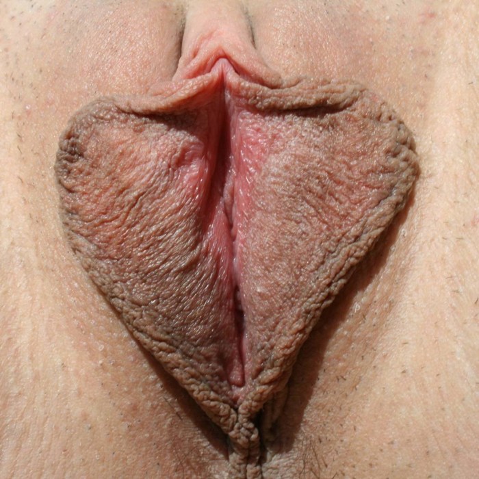 Large female genitals