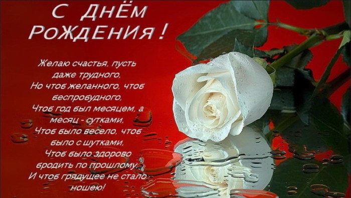 Congratulations on the anniversary of the woman