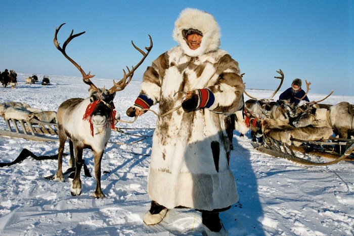Nenets Nenets Nenets Nenets