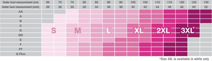 US Bra Sizes