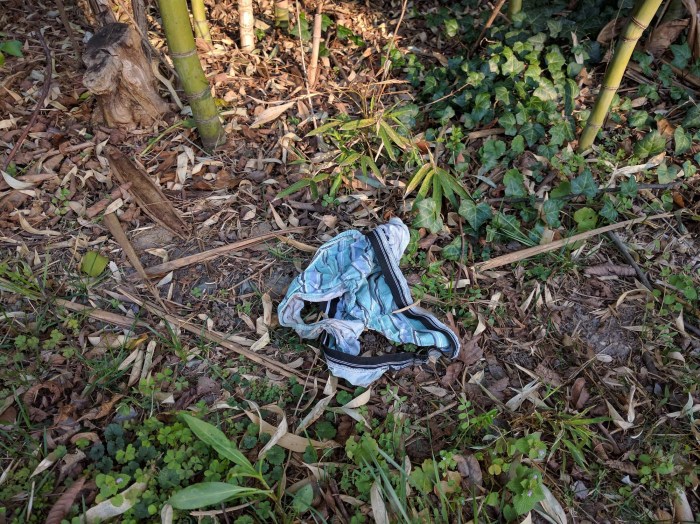 Lost Panty