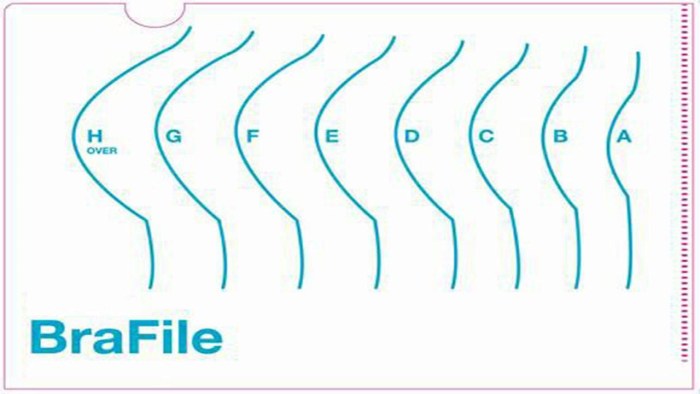 The dimensions of the bust drawing