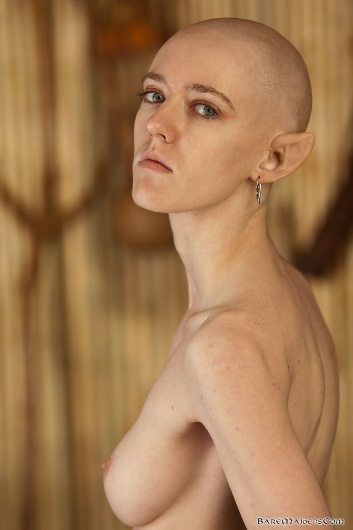 Britney Spears Naked Vagina