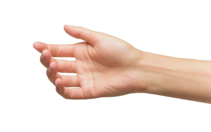 The hand shows a goat