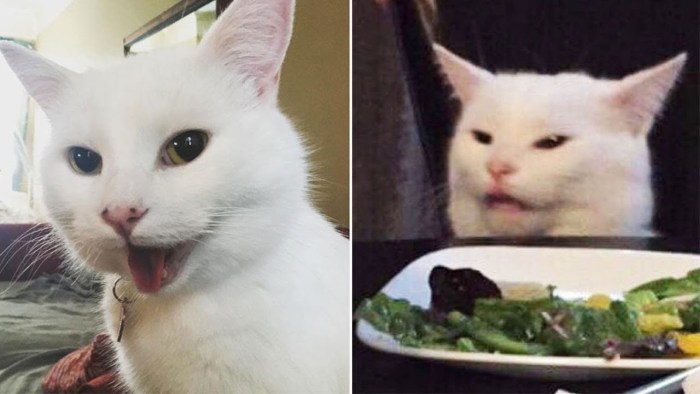 Mem with Cameron Diaz and Cat