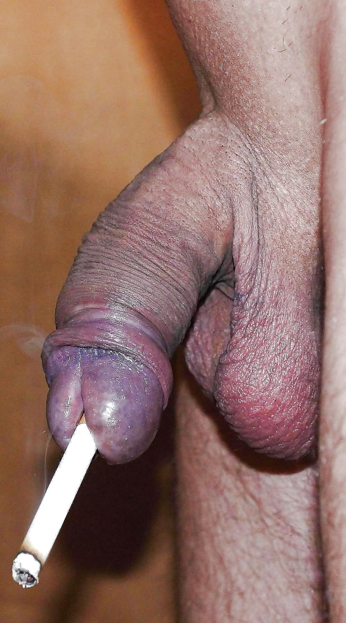 Healthy dick with thermometer