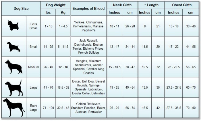 Dog weight by breeds