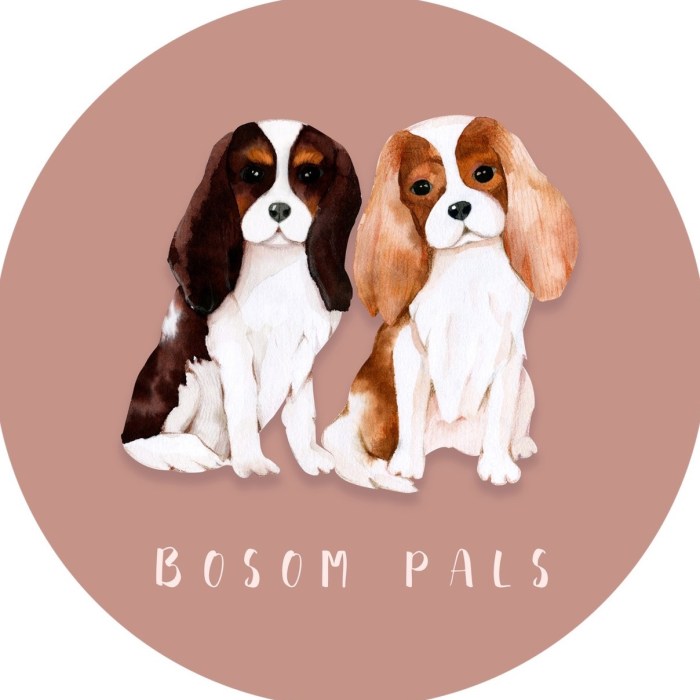 Coker Spaniel Sims 4