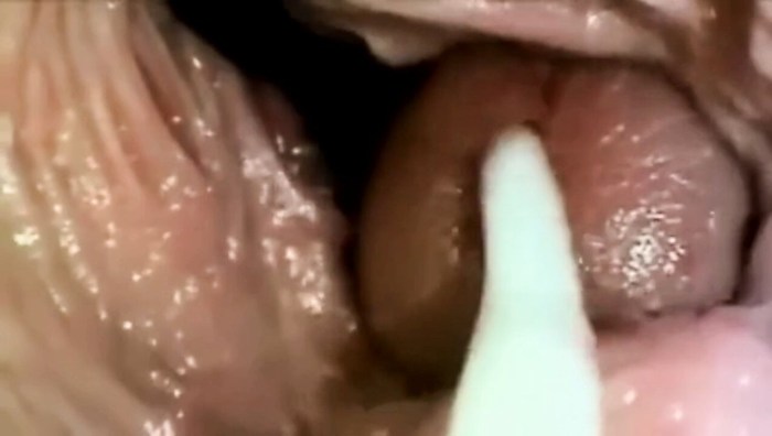 Women's vagina from the inside