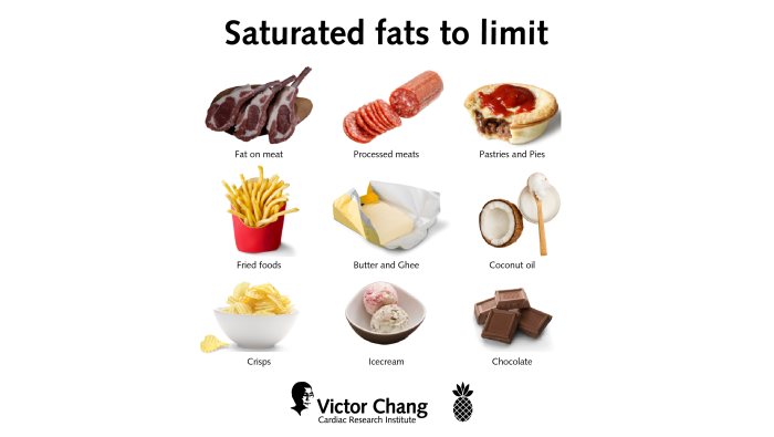 SATUREETED FAT Photo