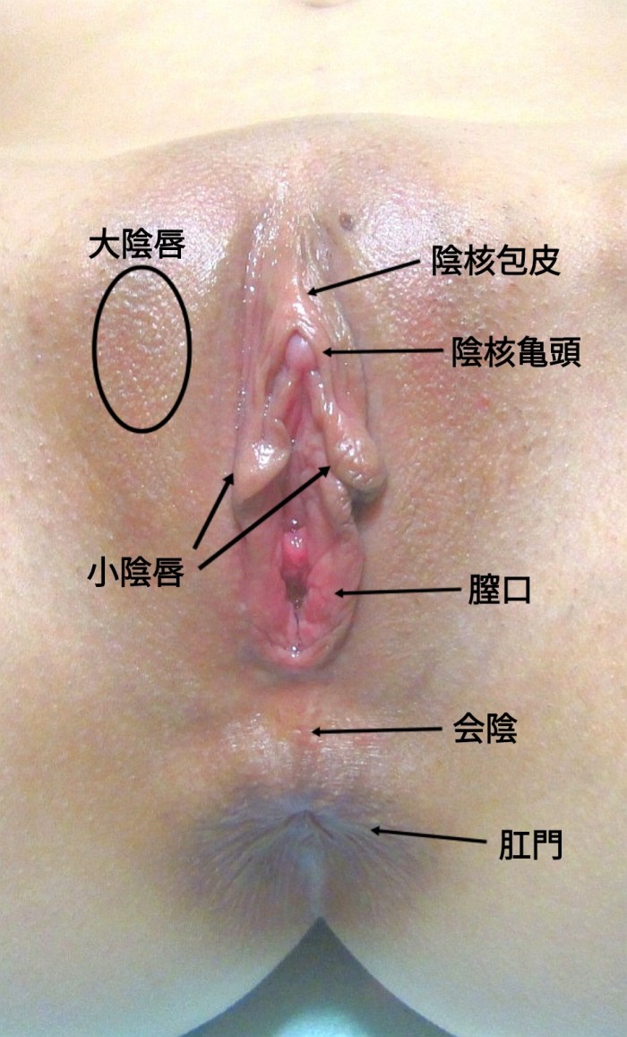 Cutting the labia