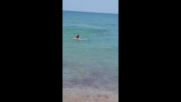 Small on the beach