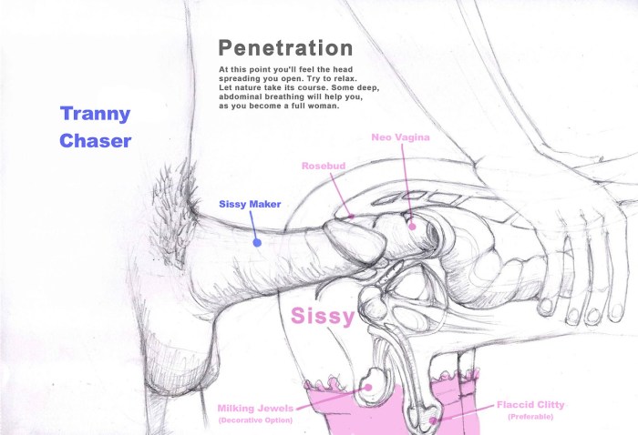 Anal sexual intercourse in the context