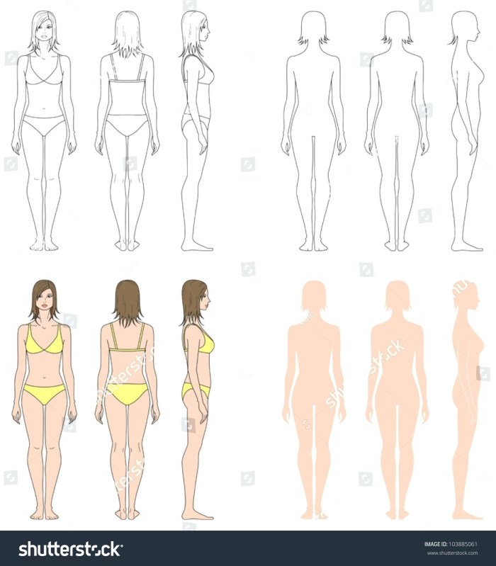Anatomy of the girl