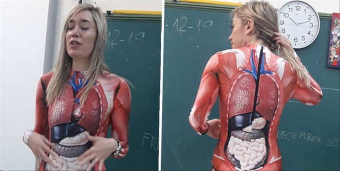 Anatomy of the reproduction organs in a woman