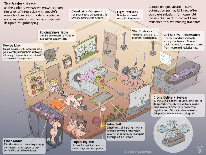 Anatomy of the female body lying
