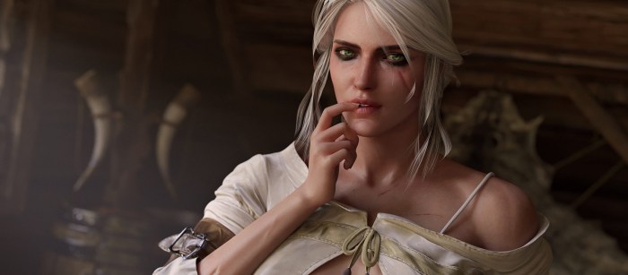 The Witcher 3 Wild Hunt Tsiri