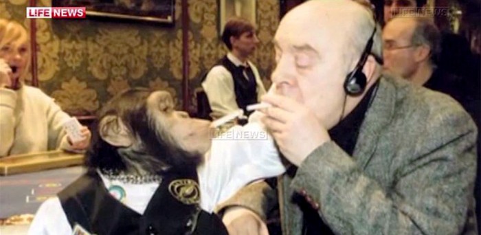 John chimpanzees in the Moscow casino