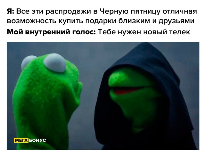 Cermit in a hood