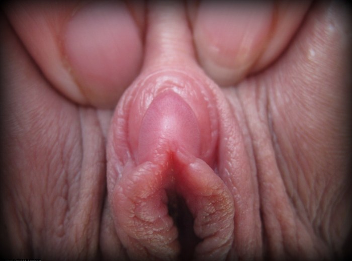 Women's clitoris close -up