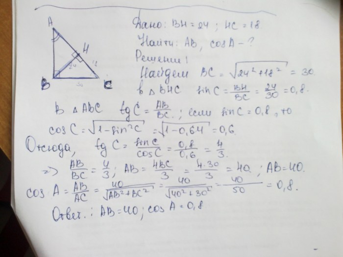 The height of the rectangular triangle ABC is 24