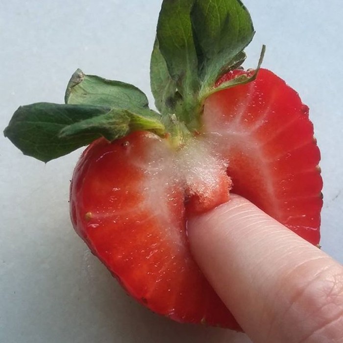 Fruits in the form of organs
