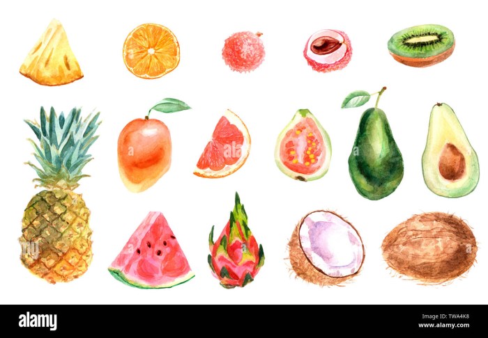 Tropical fruits drawing