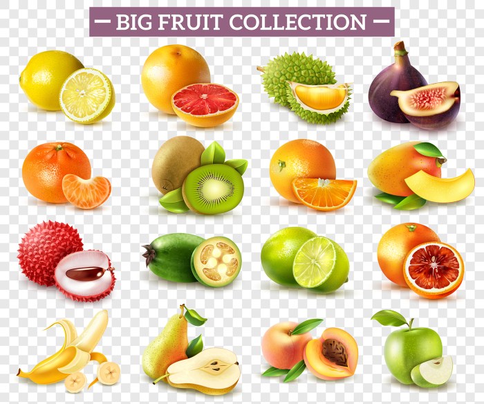 Fruit vegetables of panorama