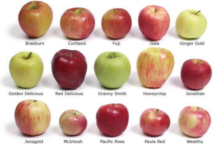 Calorie content of fruits