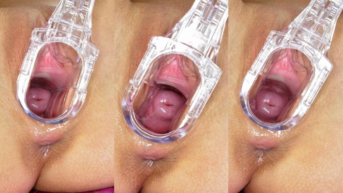 Women's vagina from the inside