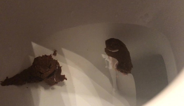 Gloria Gwida Lyceumist