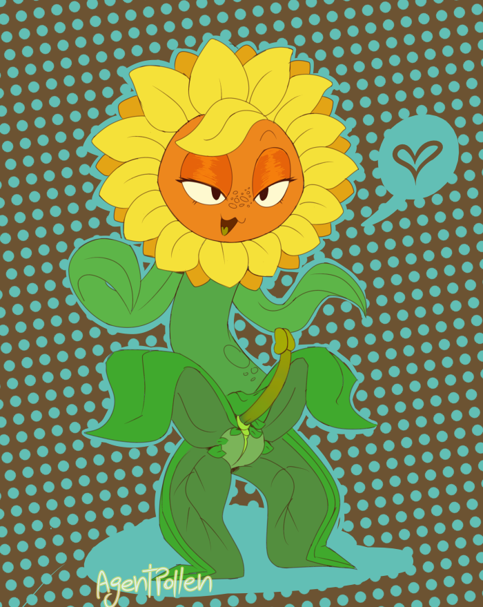 PVZ R34