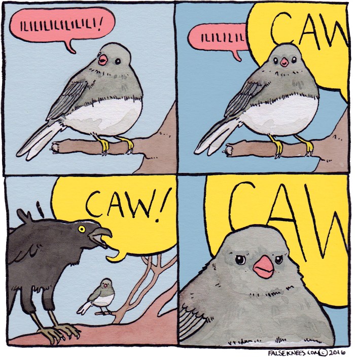 Memes with birds
