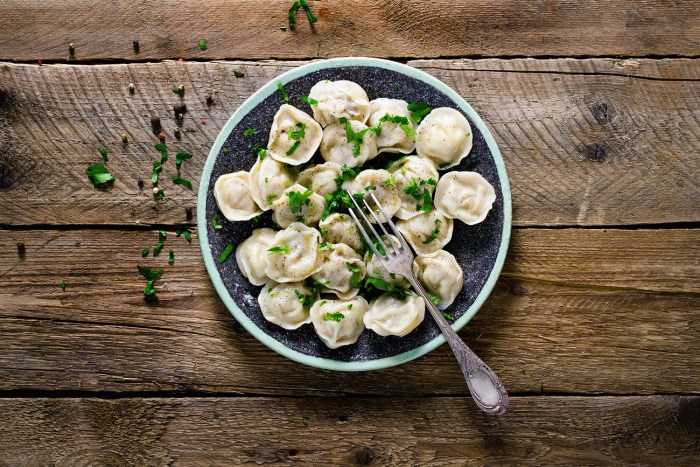 Dumplings in a plate vector