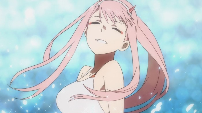 Anime Vaifa Zero Two