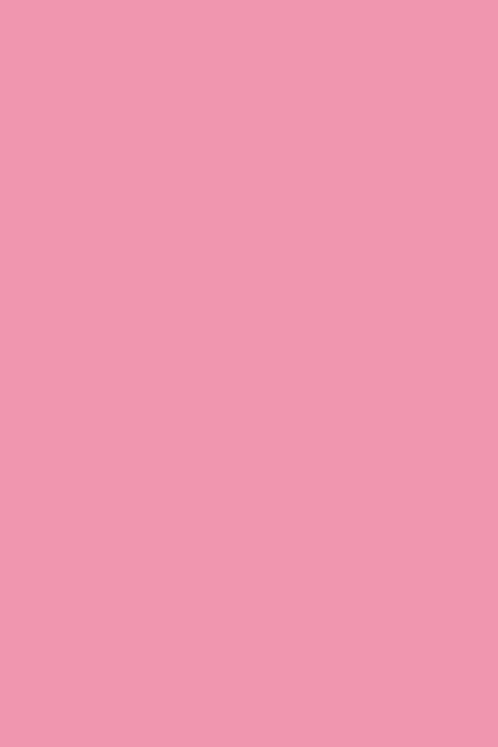 Chip 8534 bs rose