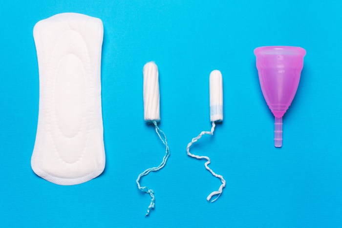 Gaskets and tampons