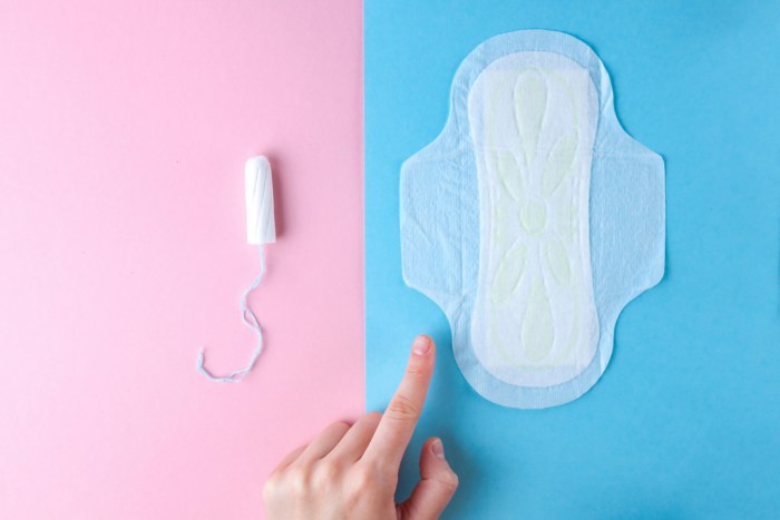 Gaskets and tampons