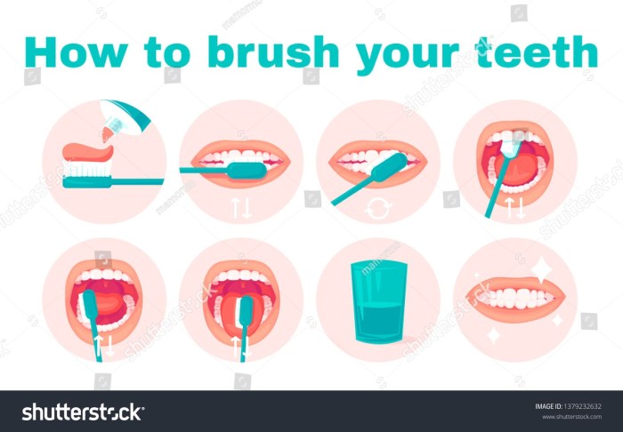 Stages of brushing tooths