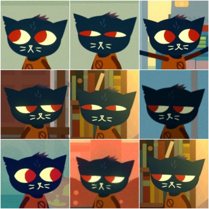 Nitw May Borovsky