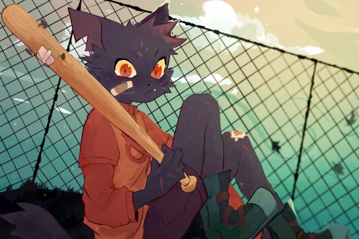 Nitw May Borovsky