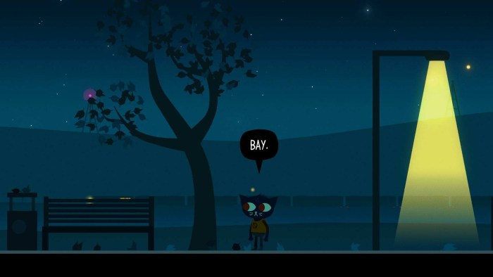 Night in the Woods May face