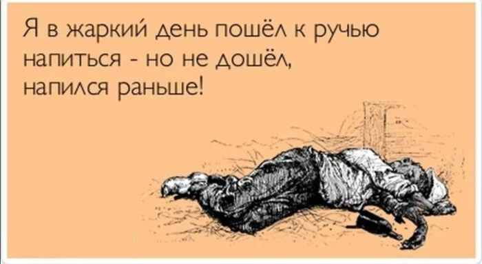 Dasha RASA 2020