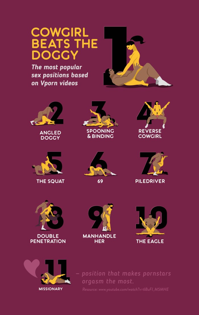 SEX POSITIONS Beginners Guide Livre Audio