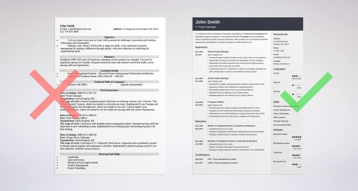 The resume of the programmer