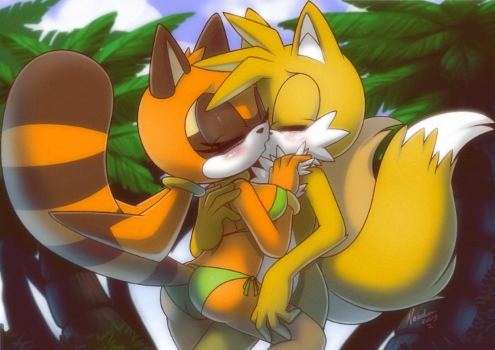 Sonic Amy Tails and Cream
