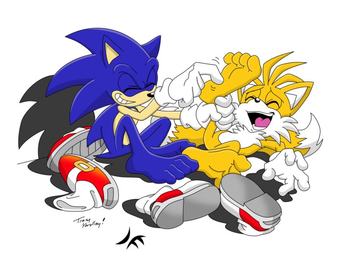 Sonic and Talez Ship