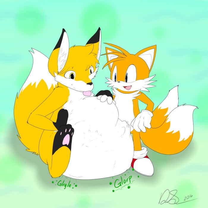 Miles Tails Prower Angry