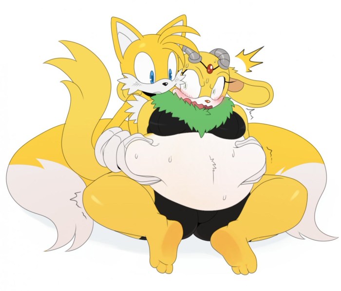Tails Miles Prower Yaoi