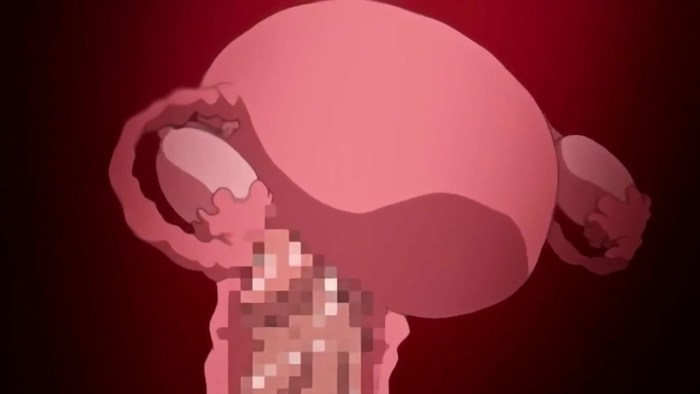Hentai fertilization Xray